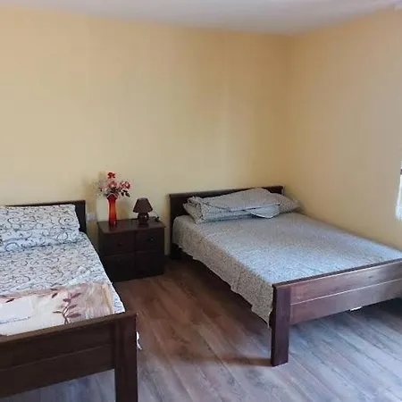 Seosko Domacinstvo Nedic Country house