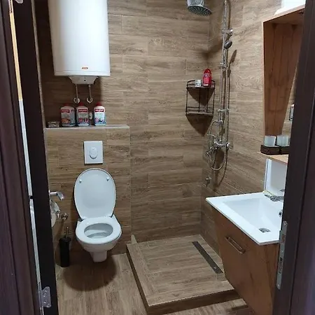 Seosko Domacinstvo Nedic Seoska kuća