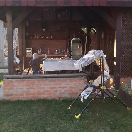 Seoska kuća Seosko Domacinstvo Nedic